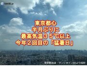 東京都心　半月ぶりに最高気温35以上　今年2回目の「猛暑日」　熱中症に警戒
