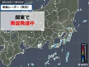 関東　すでに雨雲が発達「強い雨」を観測　午後は更に不安定　ゲリラ豪雨のおそれ