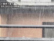 北日本や関東は本降りの雨　一時的な強雨や雷雨に注意