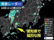 愛知県で1時間に120mm以上の猛烈な雨　記録的短時間大雨情報