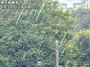 東京や埼玉で雨雲発達　今夜にかけて関東南部は短時間強雨に注意