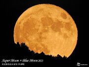 今年最大の満月・スーパームーンが夜空に浮かぶ　ブルームーンとも