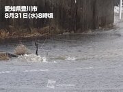 今朝は愛知県で激しい雨に　この後は北日本でも要警戒