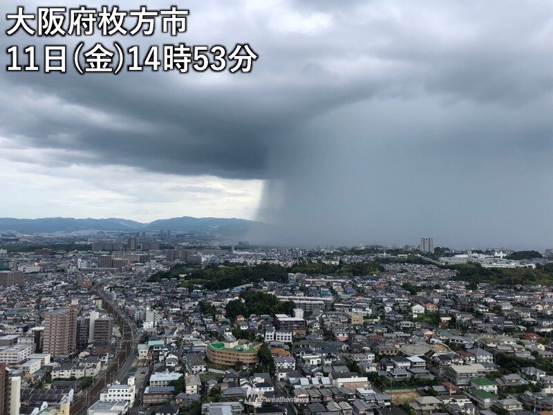 大阪でゲリラ豪雨をもたらす巨大雨柱 局地的な激しい雨に