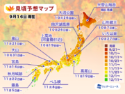 紅葉見頃予想2021：日光は10月下旬、京都は11月中旬に見頃迎える