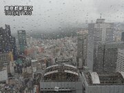 東京都心は連日の激しい雨　道路冠水や河川用水路の増水に警戒