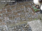 北海道で強い雷雨、一部ではアラレも　夜はほぼ全道的に雨