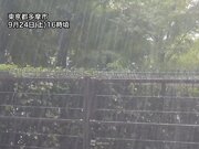 東京都内は短時間の強い雨　頻発する落雷にも注意