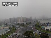 宮城県など東北で濃霧発生　車の運転など視界不良に注意