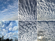 東京など関東から九州までの空を賑わす「うろこ雲・ひつじ雲」