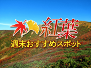 紅葉おすすめ情報　今週末は那須岳や月山で見頃に