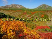 北日本の山は今週末が見頃　北海道では紅葉が映える陽気に