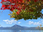 北海道は穏やかな秋晴れ　色づいた紅葉と青空のコントラスト