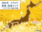 東北の街中でも紅葉の色づき進む　福島でイチョウの黄葉　今週末どこで見ごろ?