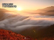 新潟県・枝折峠で絶景「滝雲」　滝のように流れ出す霧が朝日に照らされる