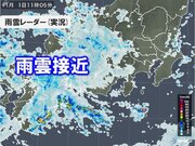 関東に西から雨雲　どんよりヒンヤリ　今夜は本降りの雨も　あす2日は小春日和に