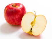11月5日は「いいりんごの日」　1日1個のりんごは医者を遠ざける!?