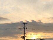 立冬の空にギザギザした雲が!?　青森県上空で不思議な雲を目撃！        