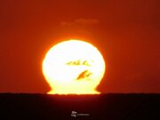 静岡・伊豆半島で「だるま朝日」出現　見えたくびれた太陽　蜃気楼の一種