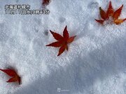 北海道では秋と冬が交差　赤と白の鮮やかなコントラスト