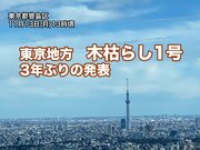 東京地方で木枯らし1号　3年ぶりの発表