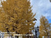 福島・長野でカエデが紅葉　函館・新潟・前橋でイチョウが黄葉　街中も秋色に