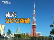 東京は6日ぶり20℃を観測　小春日和の週末