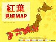 紅葉見頃MAP　東日本や西日本で紅葉が見頃　今週末の天気は?