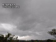 九州は朝から広い範囲で雨　南部では土砂降りの所も