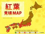 紅葉は西日本から東日本で広く見頃　きょう22日は紅葉狩り日和　あす23日祝日は雨