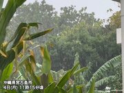 沖縄・宮古島で激しい雷雨が継続　沖縄本島は夕方からがピークに