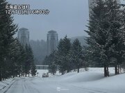 北海道で局地的に雪が強まる　1時間で5cm近く積雪が増加