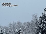 北海道で局地的に強い雪　今朝だけで20cmの雪が積もった所も