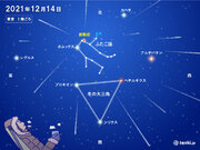 ふたご座流星群　きょう14(火)夜からあす15日(水)明け方も再び見ごろに