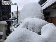 記録的大雪　群馬県内で2メートル超　12月としては異例の多さ