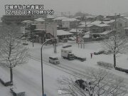 仙台で3シーズンぶりの積雪10cm　宮城県内に大雪警報発表