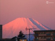 今日19日(水) 関東は朝からスッキリ晴れ　ピンクに染まる紅富士も        