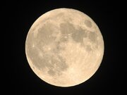 満月は「今夜」　1年で最も高く昇る満月に注目！        