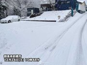 北関東で雪　群馬前橋は積雪4cmに　埼玉県内にも雪雲流れ込む