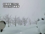 札幌など昨夜から一気に積雪増　今日も北海道は吹雪や強い雪に注意