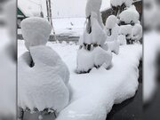 年末寒波がピークに　新潟では半日で50cm以上も積雪増加        