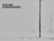 北日本、北陸で局地的に強い雪や吹雪　帰省や旅行での移動は要注意