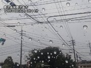 大晦日は広い範囲で雨　北海道は湿った雪に　午後は強風にも注意