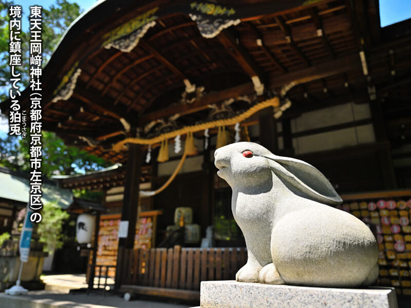 初詣は卯年にオススメの「うさぎ神社」で開運祈願！（2022年12月31日）｜BIGLOBEニュース