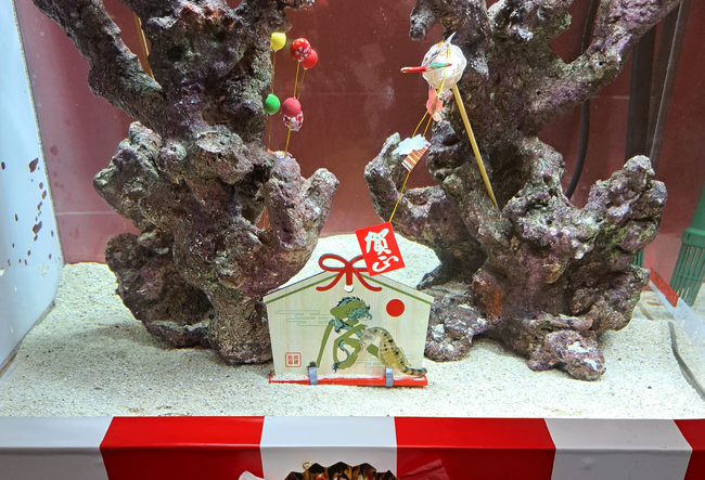 画像：百貨店の水族館で新年を楽しもう！竜を連想させる
