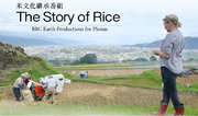 「プレナス」米文化継承活動　オンラインイベント「The Story of Rice」上映会＆「ほっともっと」「やよい軒」“ごはんの美味しさの秘密” トークイベント
