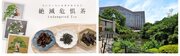 【ホテル椿山荘東京】日本の生態系の特徴である里地里山の保全に繋がる希少な「絶滅危惧茶(R)」（Endangered Tea）を1月15日より販売開始