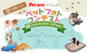 Pet ami商品と自慢のペットの写真で参加しよう！グランプリにはコメリギフトカード3万円分をプレゼント！「Pet amiといっしょ　ペットフォトコンテスト」開催