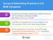 IDEATECH Survey: Advertising Practices in U.S. BtoB Companies