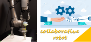 「デモで知る協働ロボット～導入傾向とその効果～」セミナーを開催
